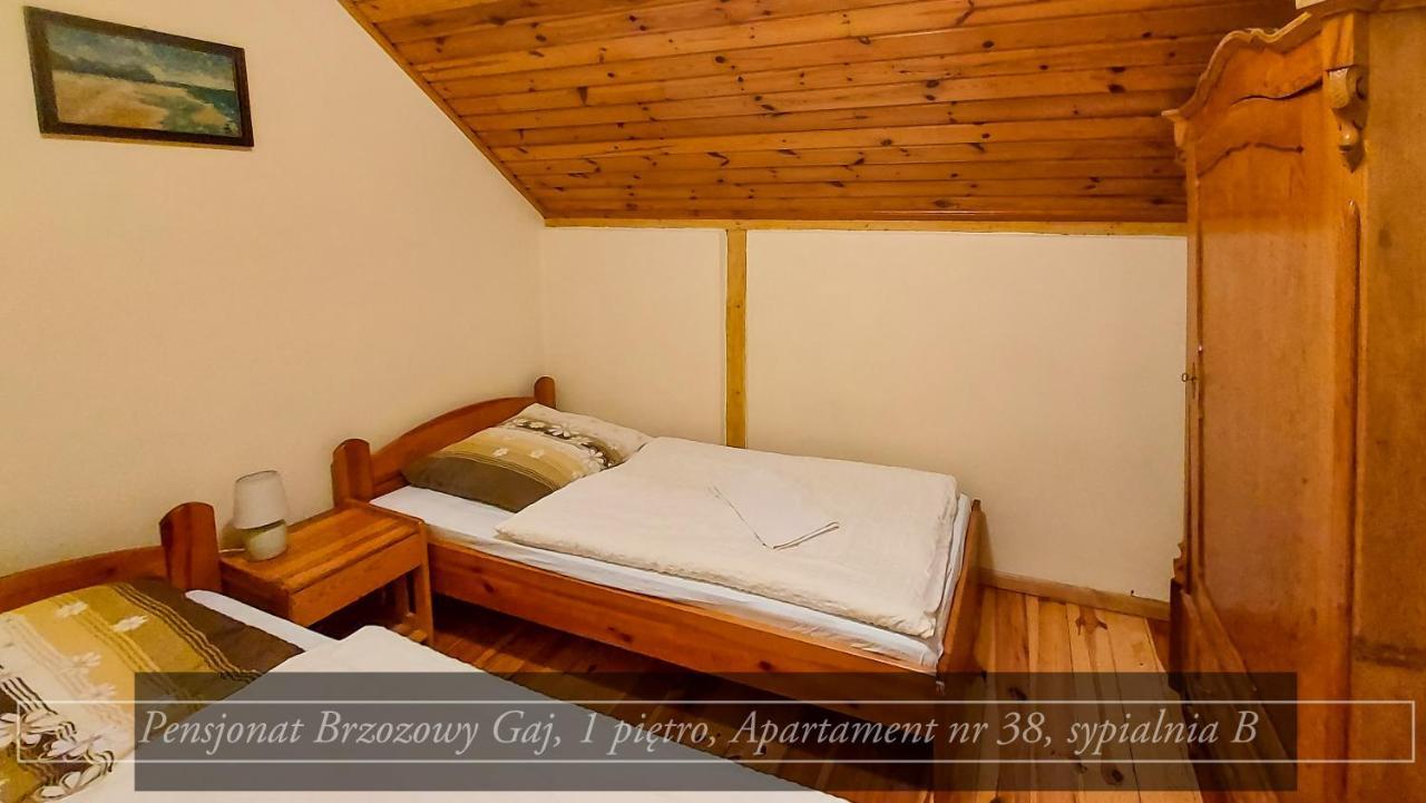 Brzozowy Gaj - Pensjonat Карпач Екстер'єр фото