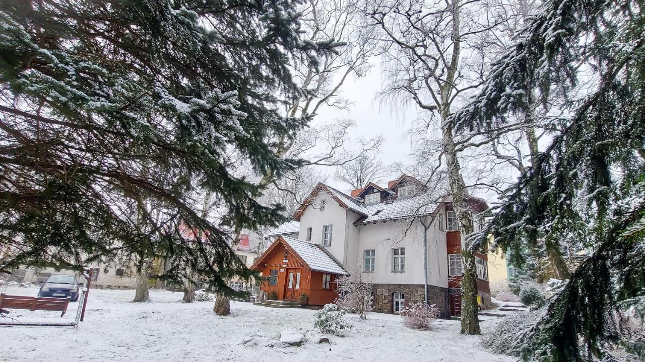 Brzozowy Gaj - Pensjonat Карпач Екстер'єр фото