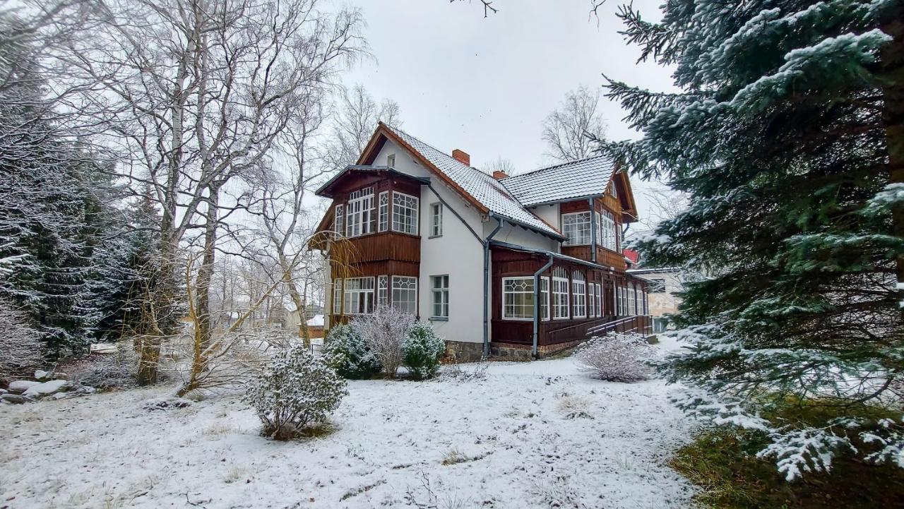 Brzozowy Gaj - Pensjonat Карпач Екстер'єр фото