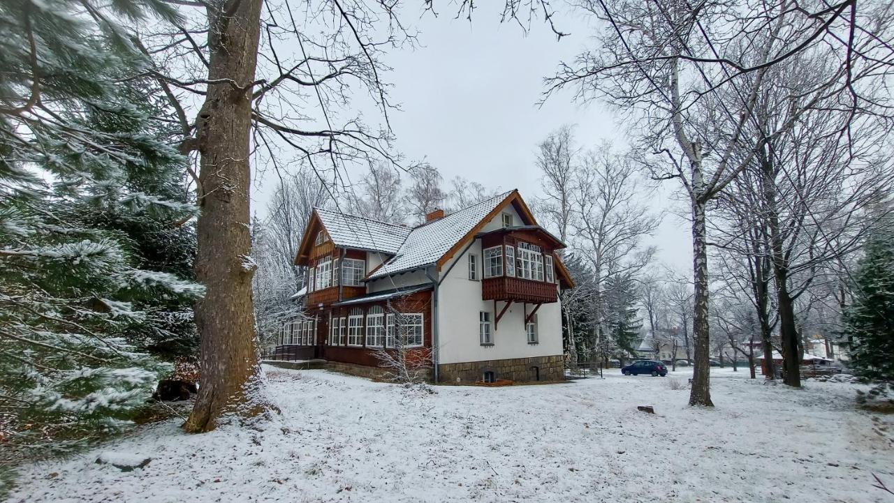 Brzozowy Gaj - Pensjonat Карпач Екстер'єр фото